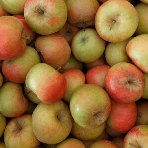 Bio Äpfel Topaz (fruchtig-säuerlich)