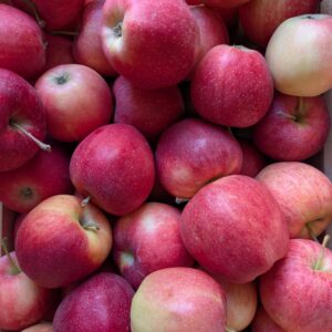 Bio Äpfel Gala (süß)