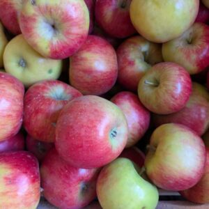Bio Äpfel Topaz (fruchtig-säuerlich)