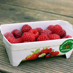 Bio Himbeeren