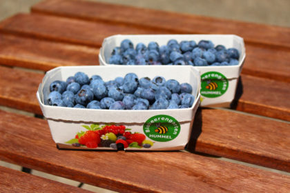 Bio Heidelbeeren
