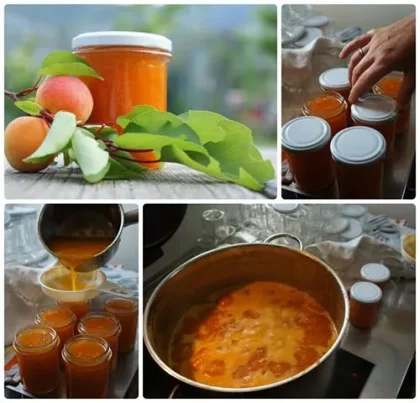 Bio Marillenmarmelade