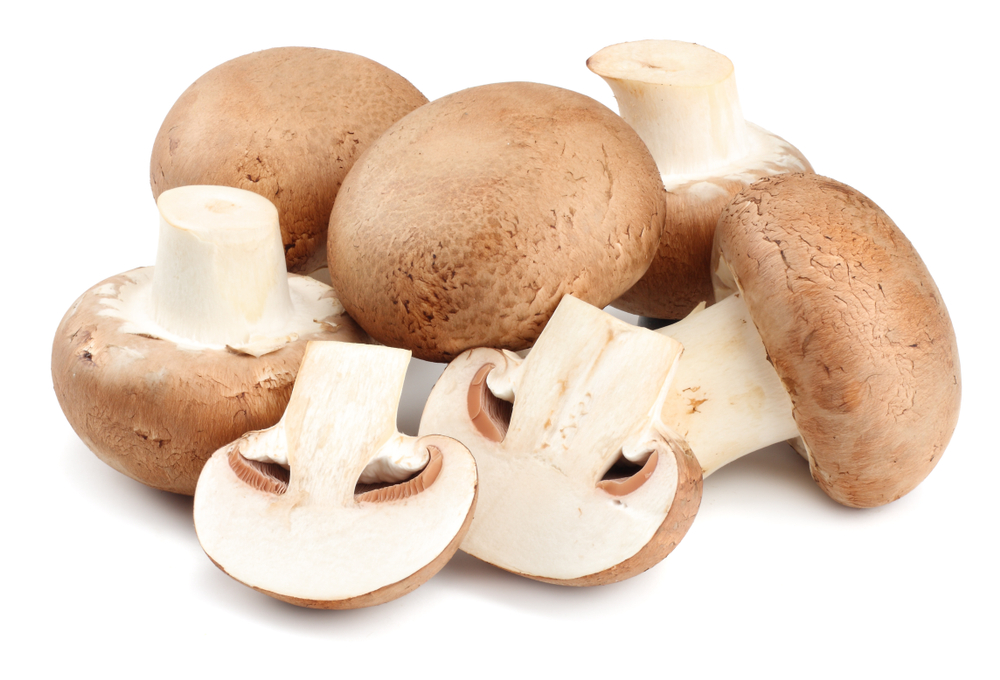 Bio Champignons Crema/braun