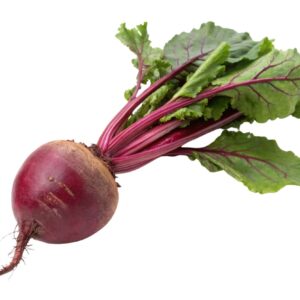 Bio rote Rüben im Bund