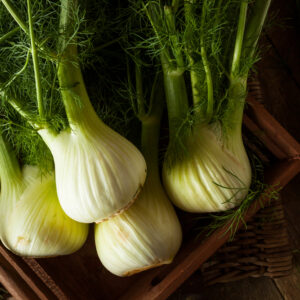 Bio Fenchel