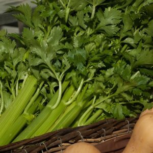 Bio Stangensellerie
