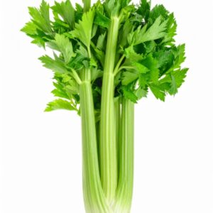 Bio Stangensellerie