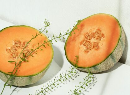 Bio Zuckermelone