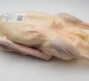 Bio Martinigansl