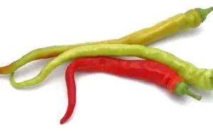 Bio Pfefferoni mild, 5 Stk.
