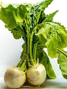 Bio Navetten / Mairübchen