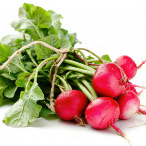 Bio Radieschen rot
