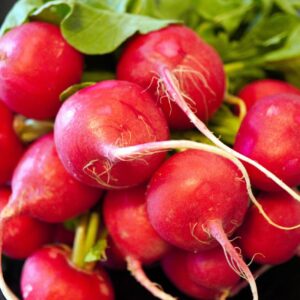 Bio Radieschen rot