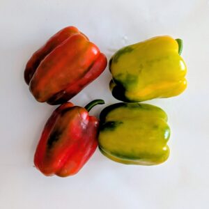 Bio Paprika gelb/rot