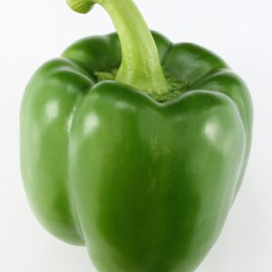 Bio Paprika grün