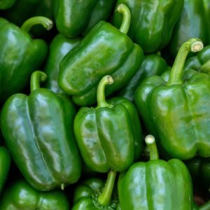Bio Paprika grün Mix