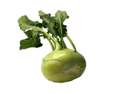 Bio Kohlrabi weiß