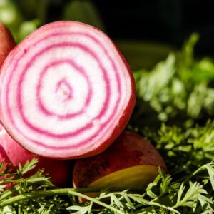 Bio Rot-weiß-rote Rüben (Chioggia Rarität)