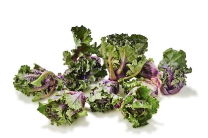 Bio Kalettes / Flower Sprouts