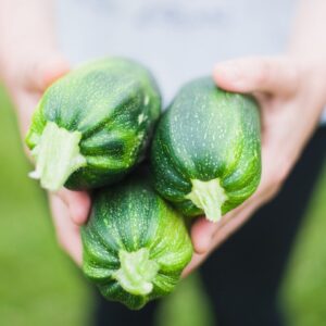 Bio Zucchini