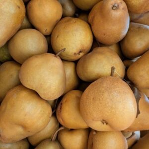 Bio Birnen Uta