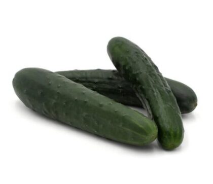 Bio Landgurken