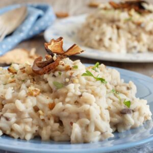 BIO Steinpilz-Emmer-Risotto (Gaia)