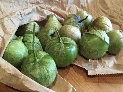 Bio Tomatillos
