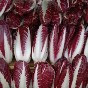 Bio Radicchio Treviso