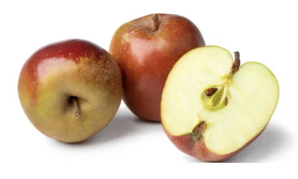 Bio Äpfel - Boskoop (säuerlich)