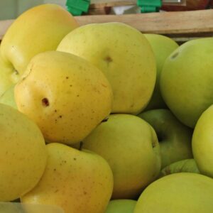 Bio Äpfel Golden Delicious (süß)