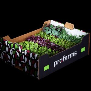 Bio Sprossen (diverse Sorten)