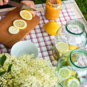 Kombucha & Limonade