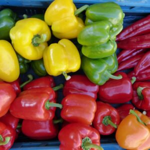 Bio Paprika färbig Mix