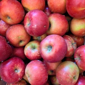 Bio Äpfel Ladina (süß)