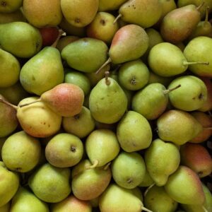 Bio Birnen Gute Luise